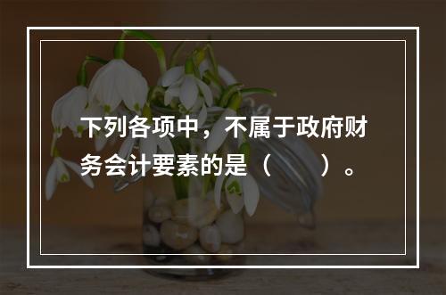 下列各项中，不属于政府财务会计要素的是（　　）。