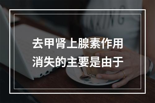 去甲肾上腺素作用消失的主要是由于