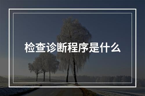 检查诊断程序是什么