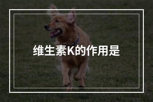 维生素K的作用是