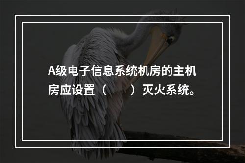 A级电子信息系统机房的主机房应设置（  ）灭火系统。