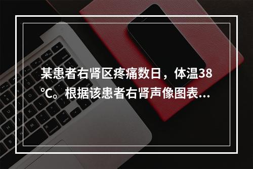 某患者右肾区疼痛数日，体温38℃。根据该患者右肾声像图表现，