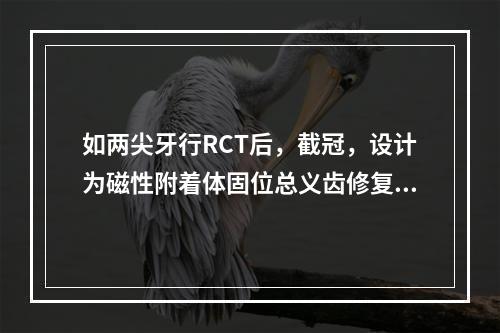 如两尖牙行RCT后，截冠，设计为磁性附着体固位总义齿修复，在