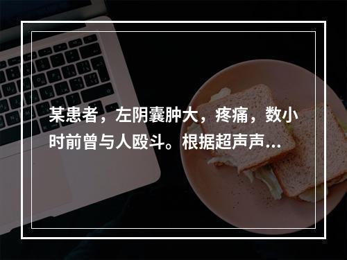 某患者，左阴囊肿大，疼痛，数小时前曾与人殴斗。根据超声声像图