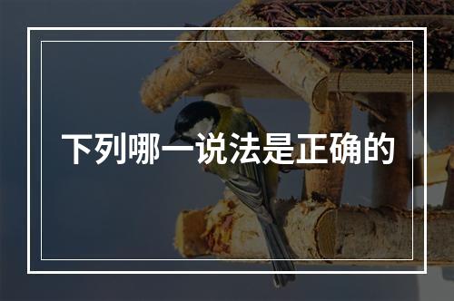 下列哪一说法是正确的