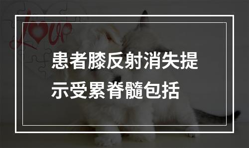 患者膝反射消失提示受累脊髓包括