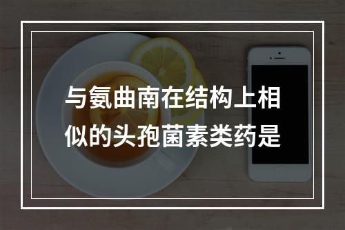 与氨曲南在结构上相似的头孢菌素类药是