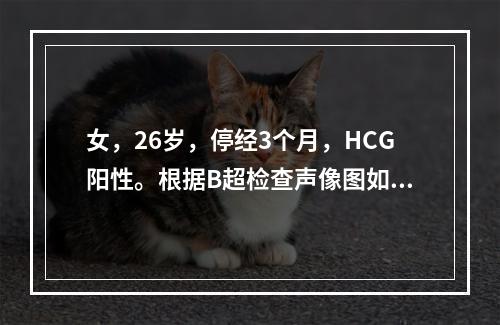 女，26岁，停经3个月，HCG阳性。根据B超检查声像图如下，