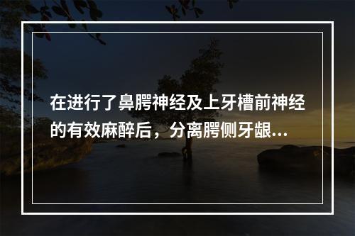 在进行了鼻腭神经及上牙槽前神经的有效麻醉后，分离腭侧牙龈时患