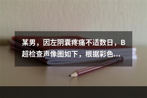 某男，因左阴囊疼痛不适数日，B超检查声像图如下，根据彩色声像