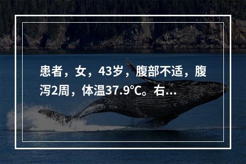 患者，女，43岁，腹部不适，腹泻2周，体温37.9℃。右下腹