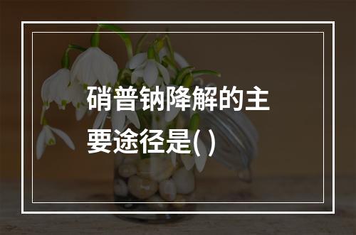 硝普钠降解的主要途径是( )