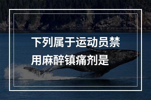 下列属于运动员禁用麻醉镇痛剂是