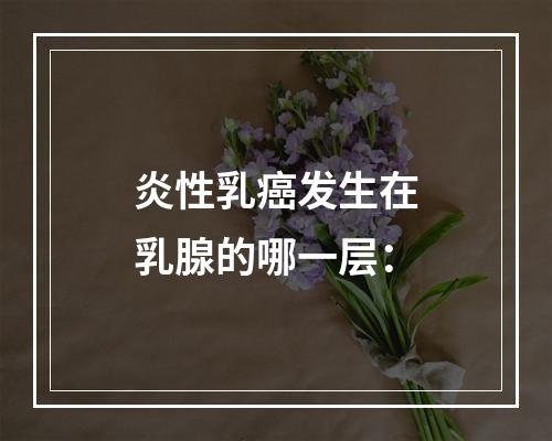 炎性乳癌发生在乳腺的哪一层：