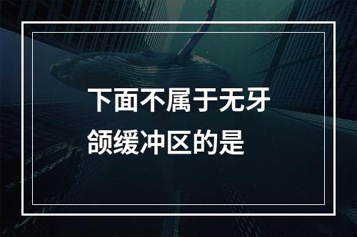 下面不属于无牙颌缓冲区的是