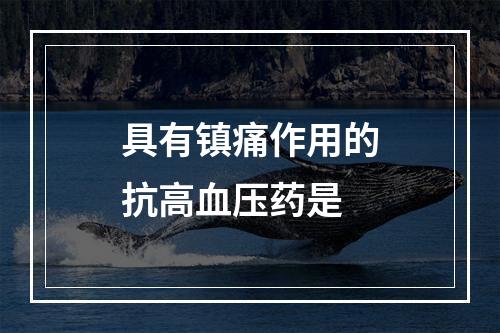 具有镇痛作用的抗高血压药是