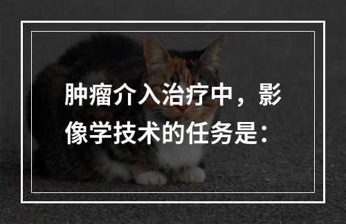 肿瘤介入治疗中，影像学技术的任务是：