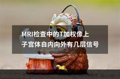 MRI检查中的T加权像上子宫体自内向外有几层信号