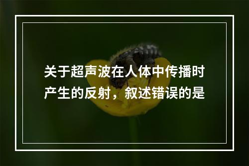 关于超声波在人体中传播时产生的反射，叙述错误的是