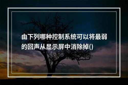 由下列哪种控制系统可以将最弱的回声从显示屏中消除掉()