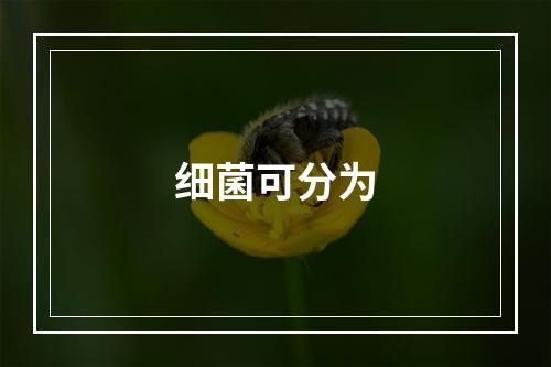 细菌可分为