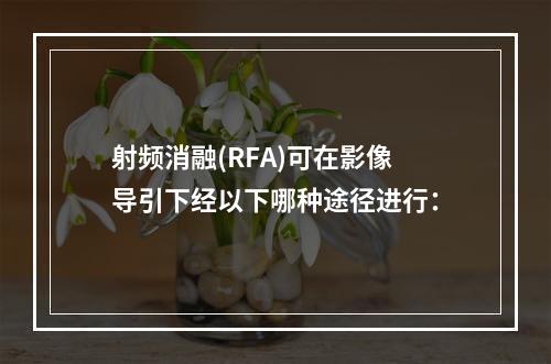 射频消融(RFA)可在影像导引下经以下哪种途径进行：