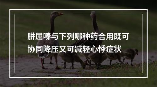 肼屈嗪与下列哪种药合用既可协同降压又可减轻心悸症状