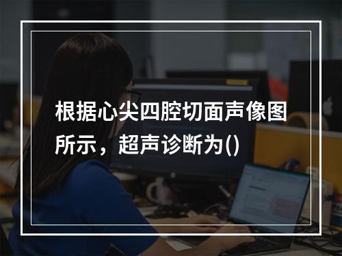 根据心尖四腔切面声像图所示，超声诊断为()