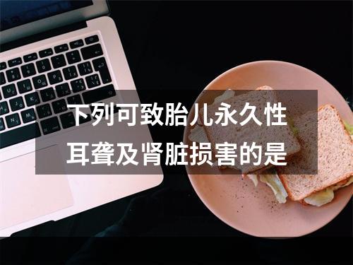 下列可致胎儿永久性耳聋及肾脏损害的是