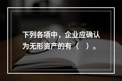 下列各项中，企业应确认为无形资产的有（　）。