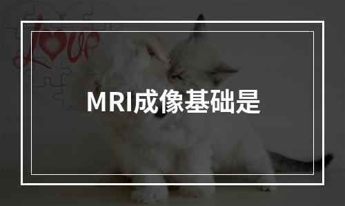 MRI成像基础是