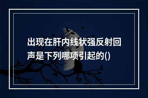 出现在肝内线状强反射回声是下列哪项引起的()