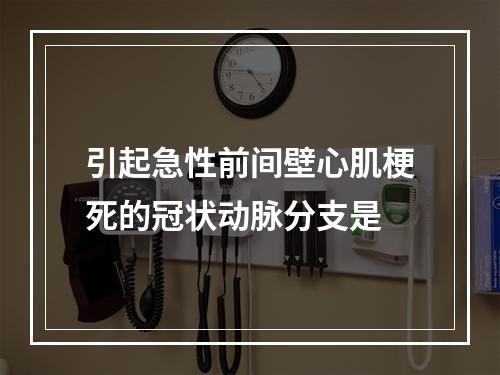 引起急性前间壁心肌梗死的冠状动脉分支是