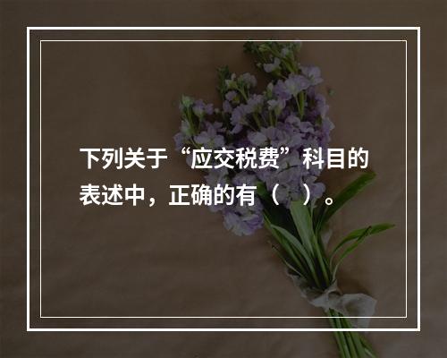 下列关于“应交税费”科目的表述中，正确的有（　）。