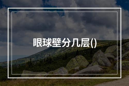 眼球壁分几层()