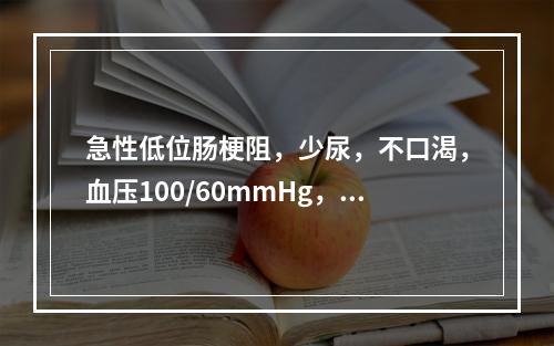 急性低位肠梗阻，少尿，不口渴，血压100/60mmHg，心率