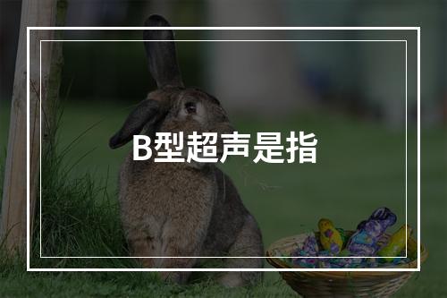 B型超声是指