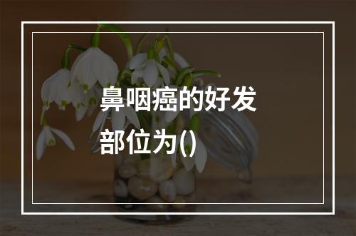 鼻咽癌的好发部位为()