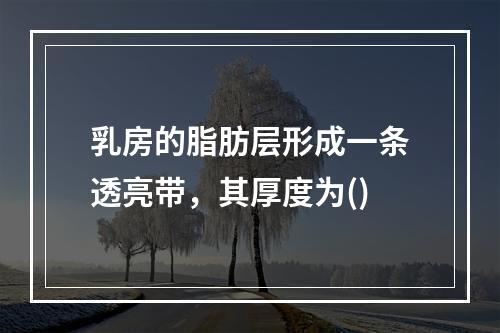 乳房的脂肪层形成一条透亮带，其厚度为()