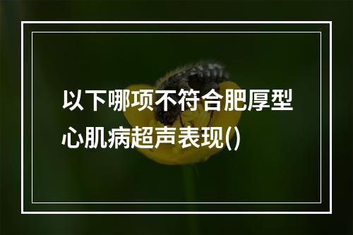 以下哪项不符合肥厚型心肌病超声表现()