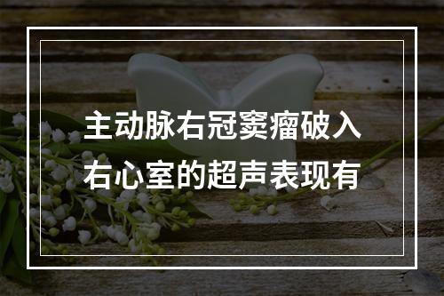 主动脉右冠窦瘤破入右心室的超声表现有