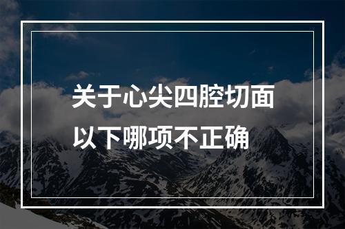 关于心尖四腔切面以下哪项不正确