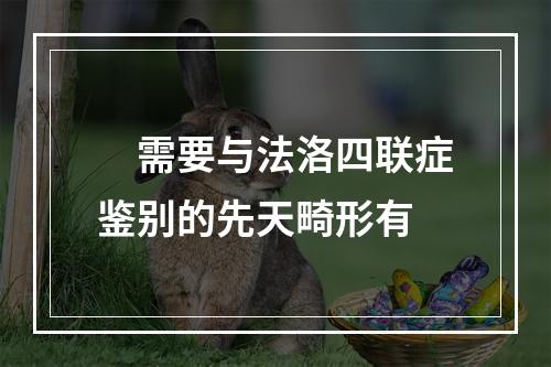 　需要与法洛四联症鉴别的先天畸形有