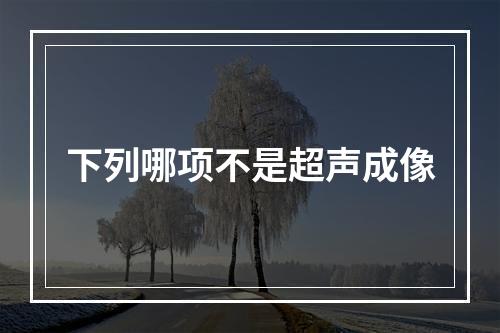 下列哪项不是超声成像