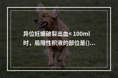 异位妊娠破裂出血< 100ml时，局限性积液的部位是()①子