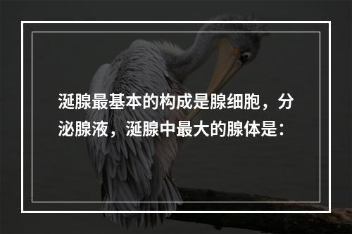 涎腺最基本的构成是腺细胞，分泌腺液，涎腺中最大的腺体是：