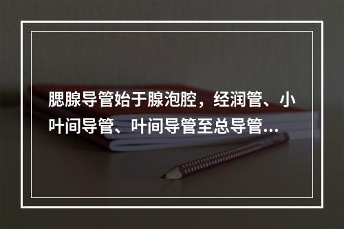 腮腺导管始于腺泡腔，经润管、小叶间导管、叶间导管至总导管，开