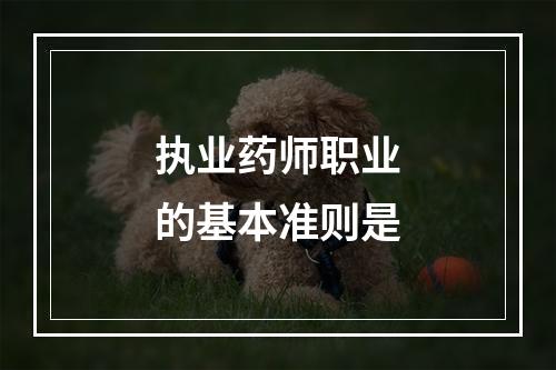 执业药师职业的基本准则是