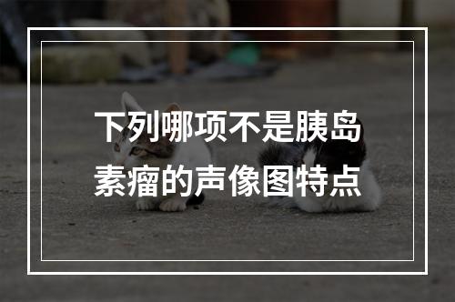 下列哪项不是胰岛素瘤的声像图特点