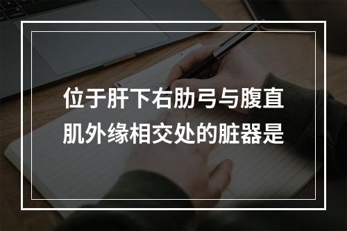 位于肝下右肋弓与腹直肌外缘相交处的脏器是